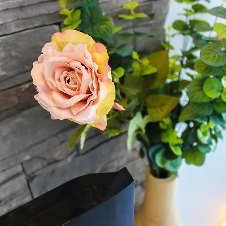 Apartman Riva Bianca Durrës